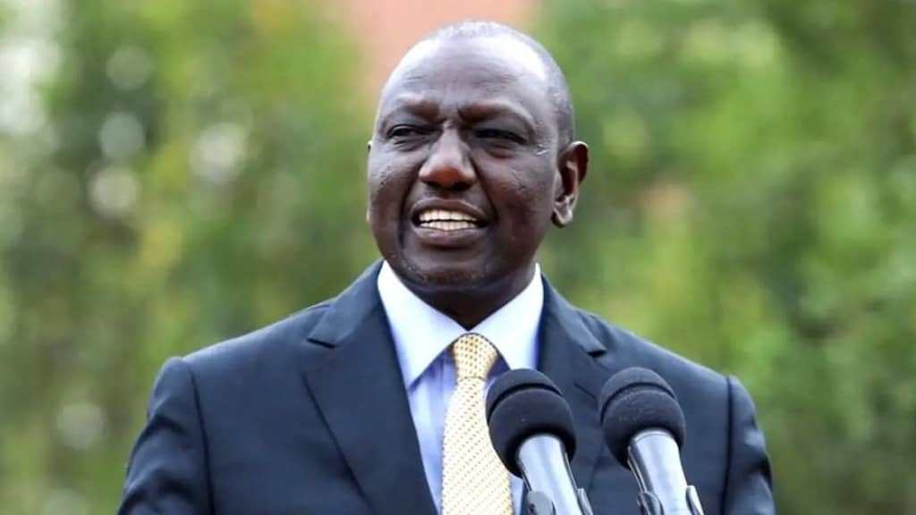 kenyan-president-william-ruto-assures-presidential-council-of-full-support